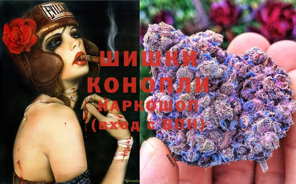соль ск Богородицк