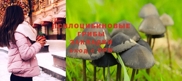 мяу мяу мука Беломорск