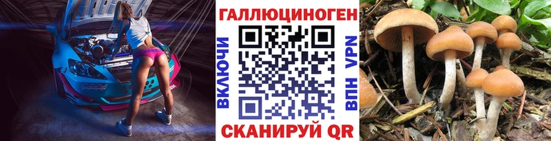 цены   Волгореченск  Галлюциногенные грибы Magic Shrooms 